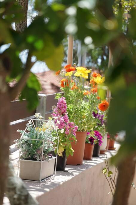 Holiday home Giannata House *